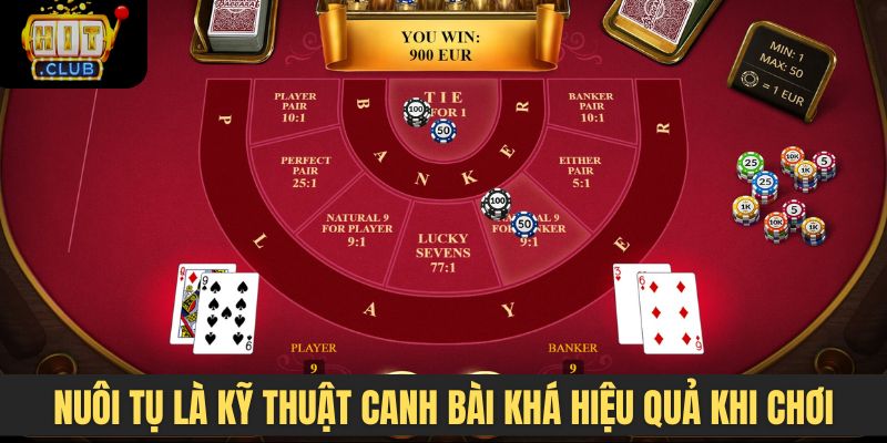 Nuôi tụ là kỹ thuật canh bài khá hiệu quả khi chơi Baccarat